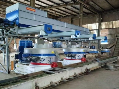 Moinho de pelotização de biomassa