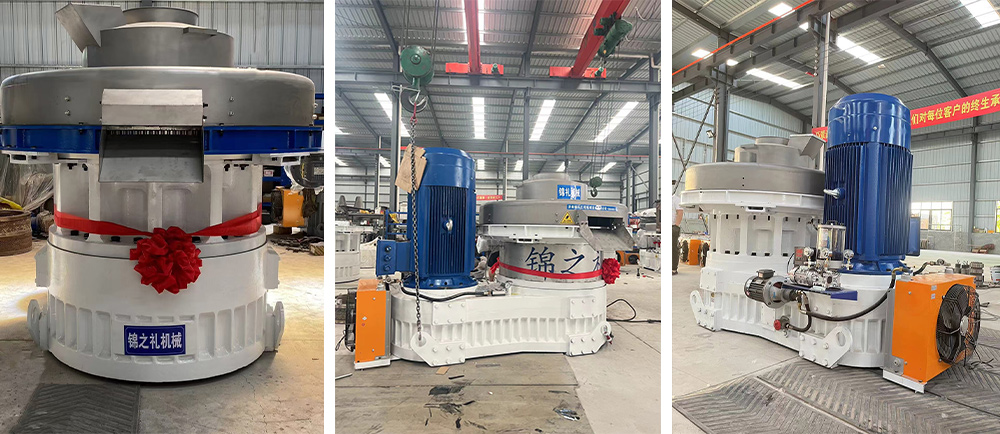 Máquina de pellets de biomassa Máquina de pellets de biomassa