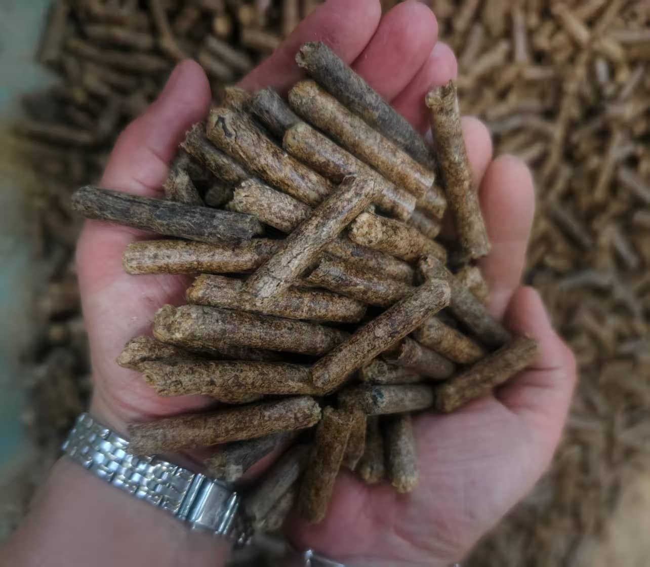 Máquina de Pellets de Casca de Amendoim a partir de Biomassa.png