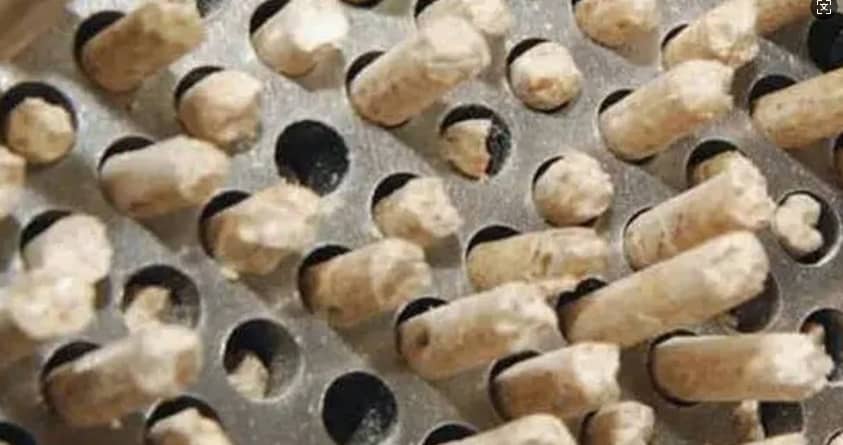 Máquina de Pellets de Casca de Arroz. png Máquina de Pellets de Casca de Arroz. png